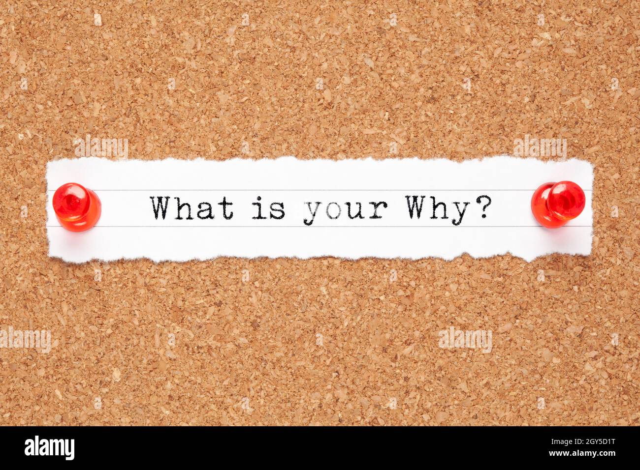 What is your Why existential question typed on a piece of paper pinned on cork board. Concept about the purpose of life. Stock Photo