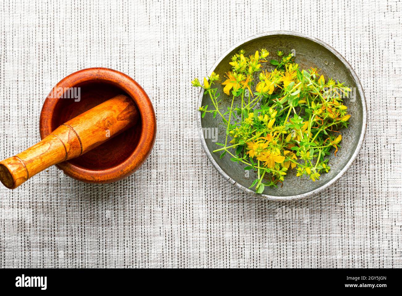 Wooden mortar with pestle with medicinal herbs.Medicinal hypericum in