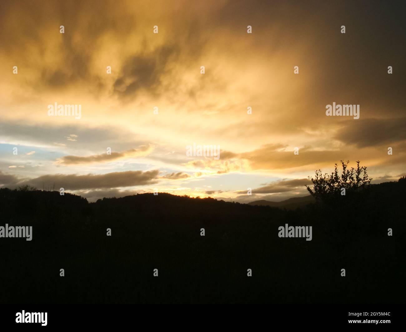 A beautiful sunset in the small bor tract. Khakassia, russia. Small Bor tract, Hakkasia. Forests and meadows Khakassia Stock Photo