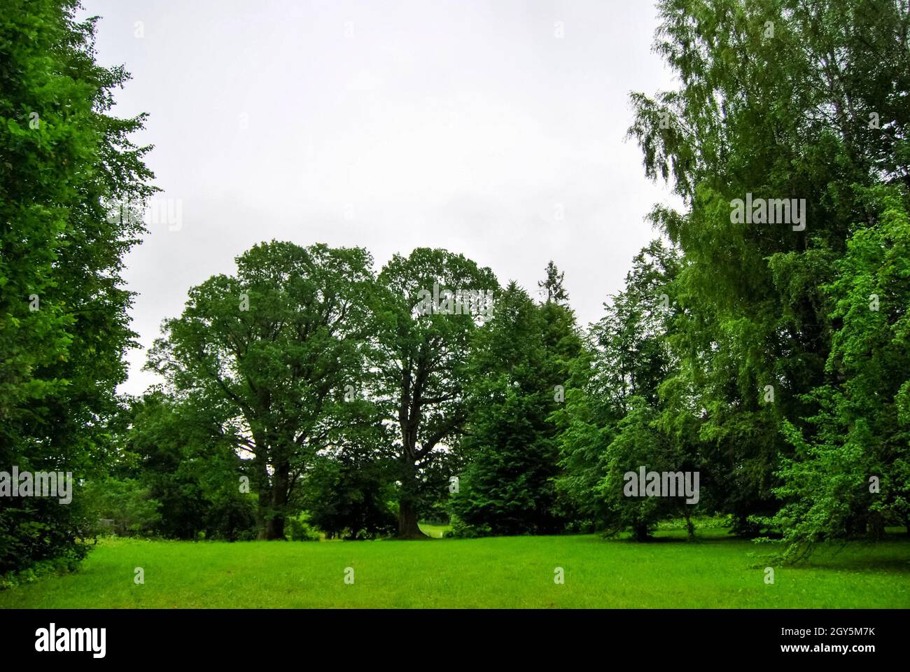 Well trimmed grass hi-res stock photography and images - Alamy