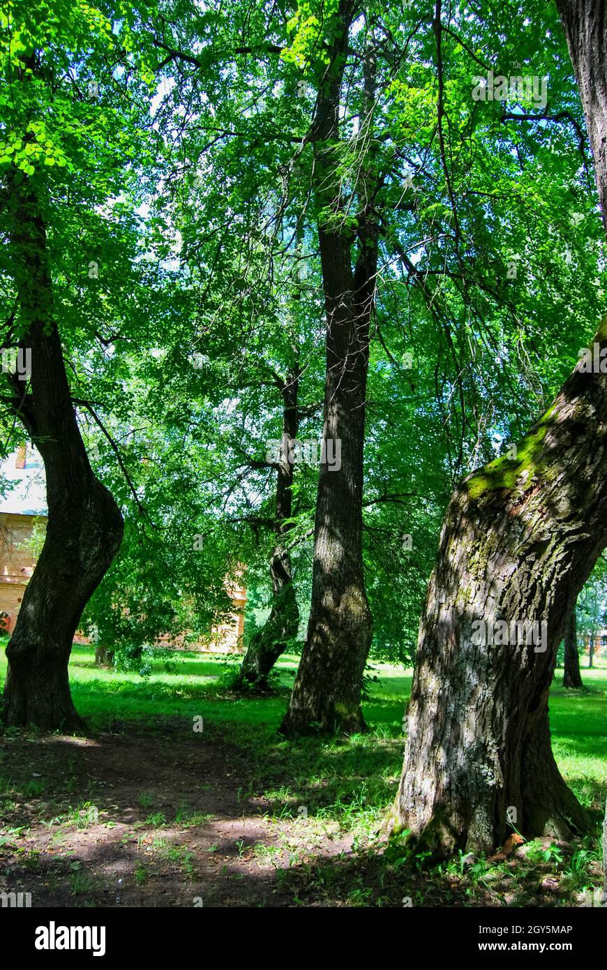Well trimmed yard hi-res stock photography and images - Alamy