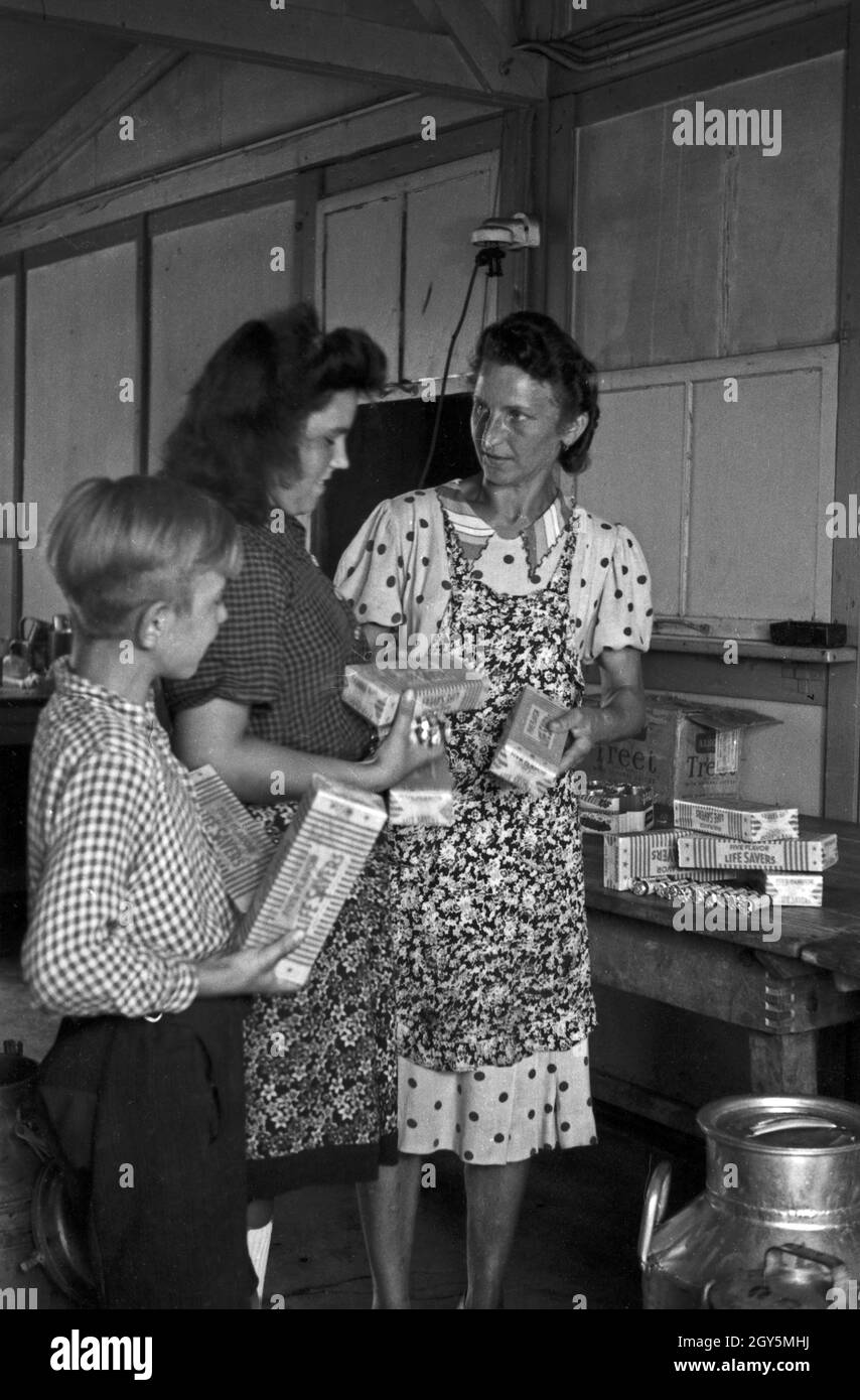 Eine Frau steht im Nachkriegsdeutschland ihren Mann bei der Versorgung der Familie, Deutschland 1940er Jahre. A woman doing her job in caring for the family in post war Germany, 1940s. Stock Photo