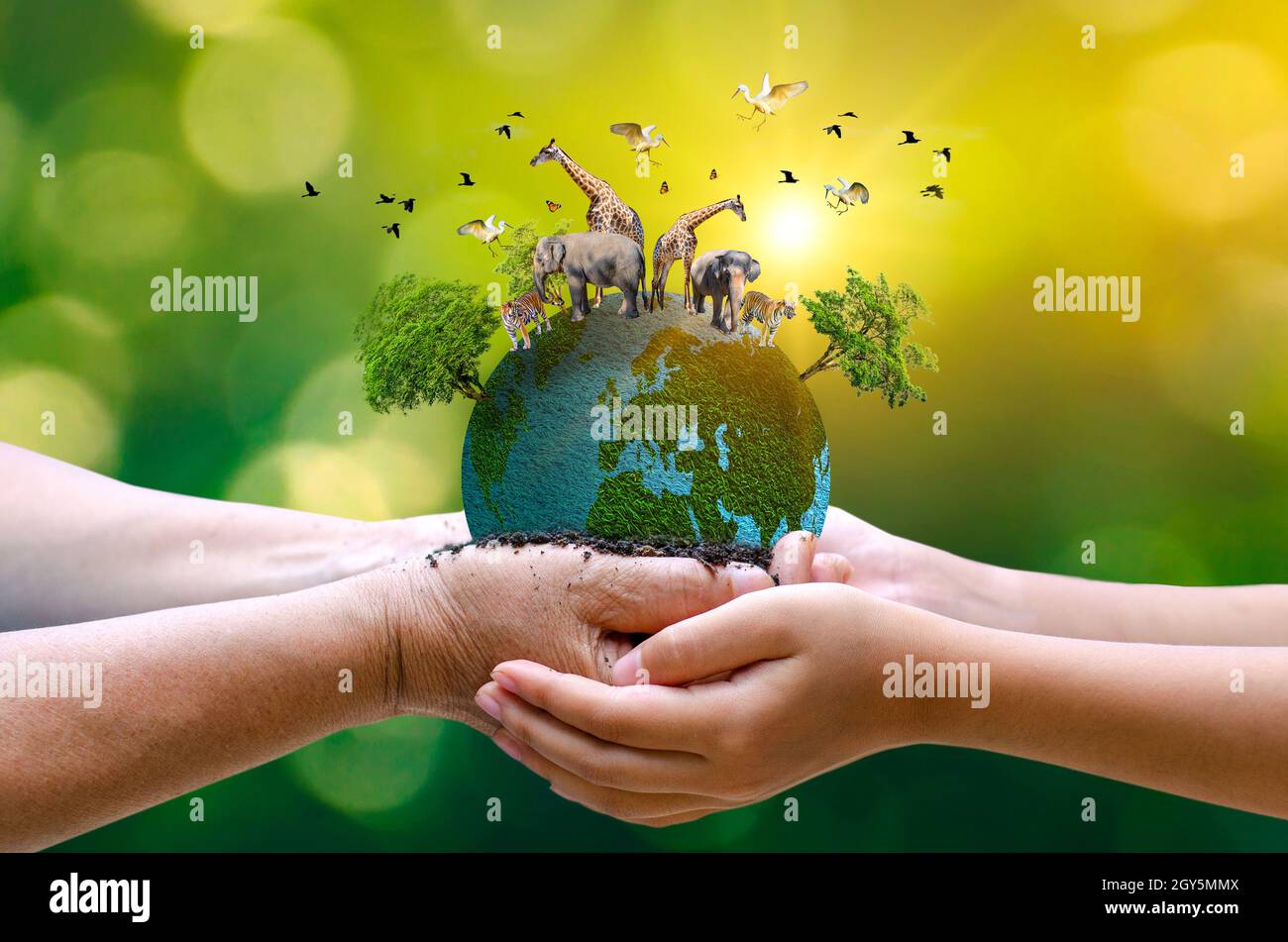 Concept Nature reserve conserve Wildlife reserve tiger Deer Global