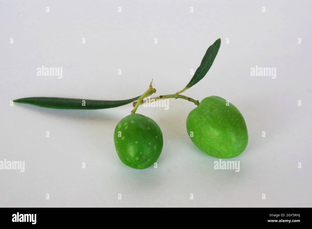 Olive fruit close-up Stock Photo