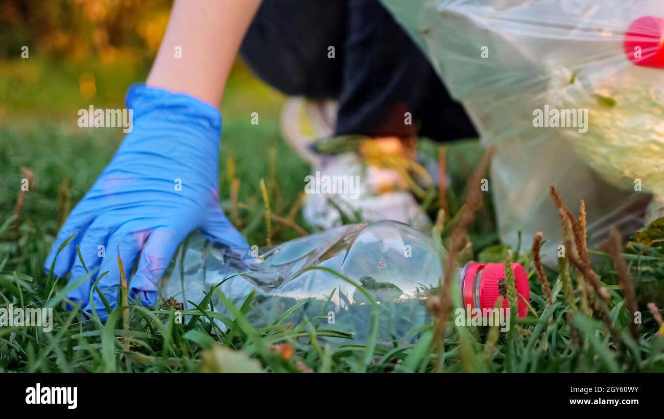 unrecognizable person collects trash in gloves, blurred background, close-up of a plastic bottle Stock Photo