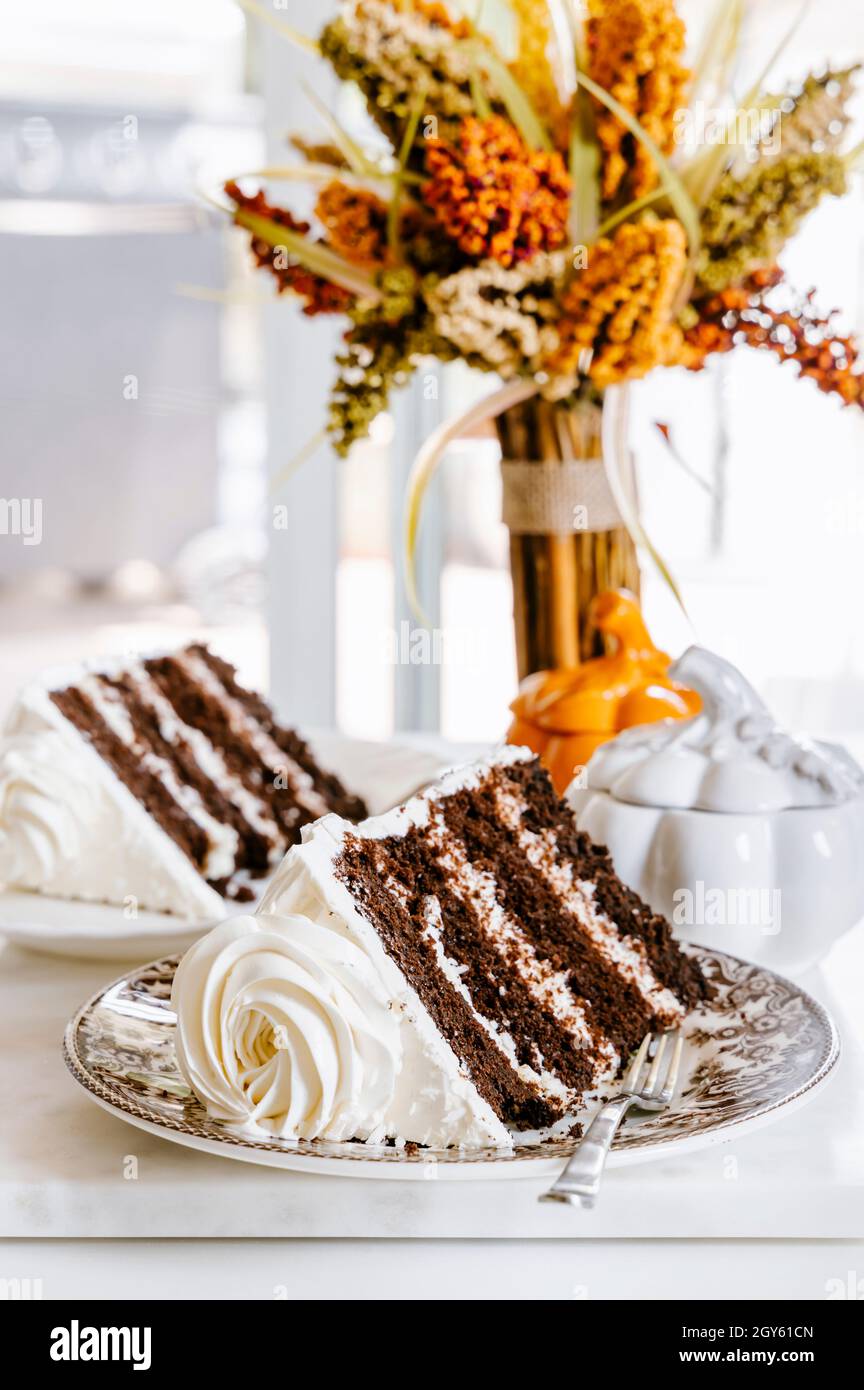 Chocolate vanilla layer cake on a plate with a cake fork Stock Photo