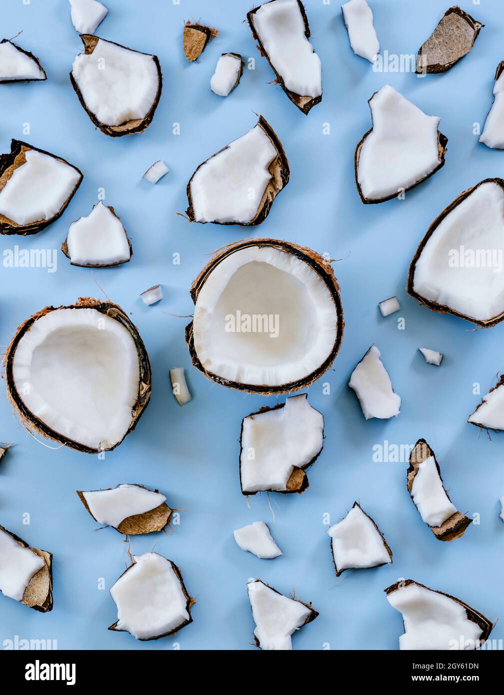 Broken coconut shells on a blue background Stock Photo
