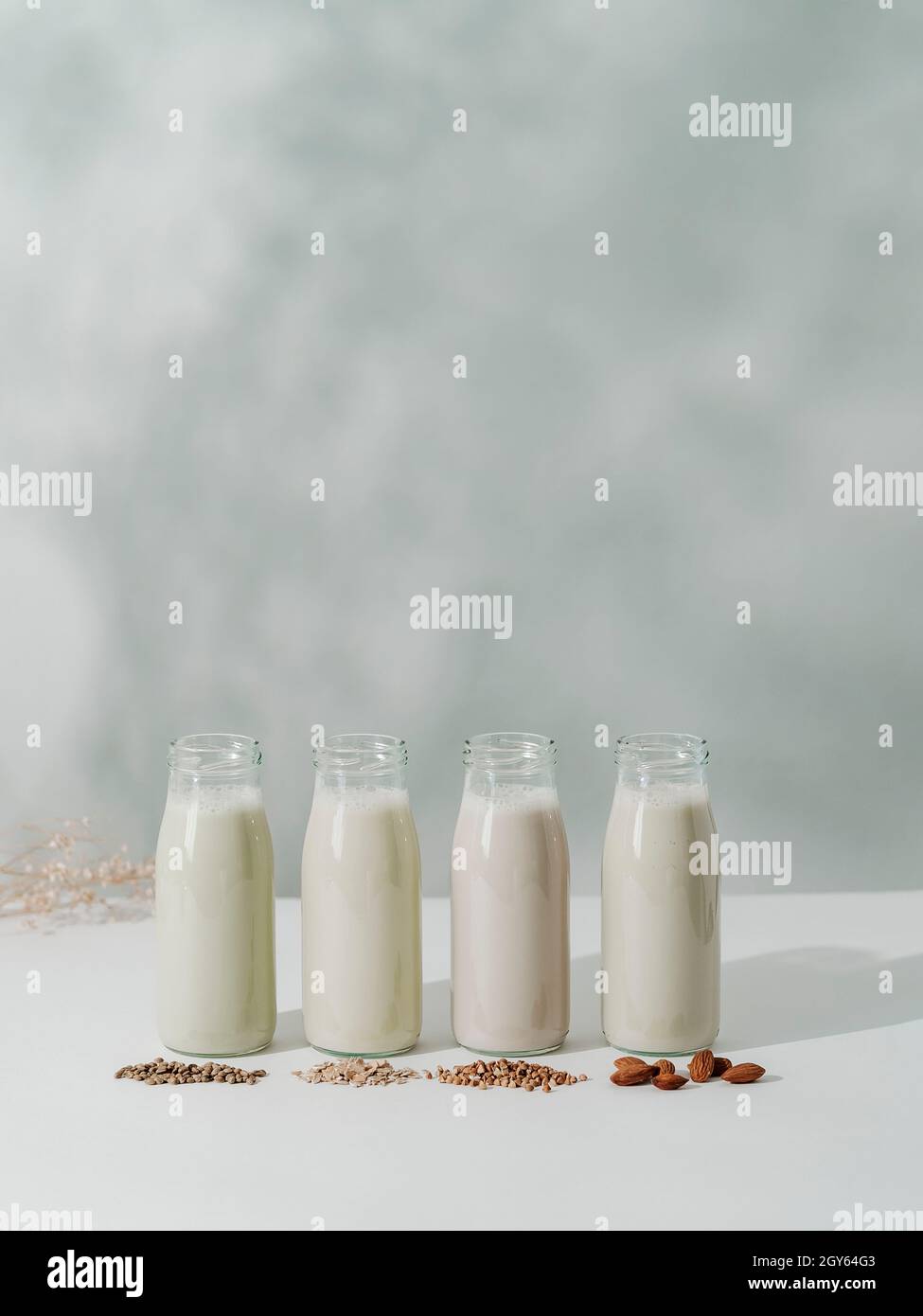 Different types non-dairy vegan milk in glass bottles on white tabletop with floral shadows on wall background. Hemp seeds, oat, buckwheat, almond mil Stock Photo