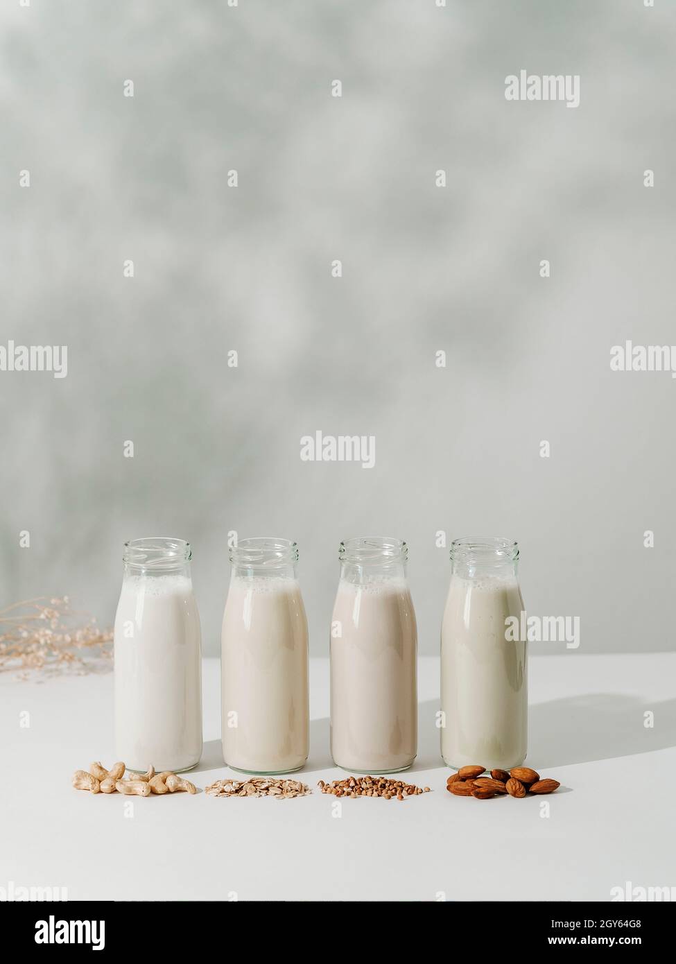Different types non-dairy vegan milk in glass bottles on white tabletop with floral shadows on wall background. Cashew, oat, buckwheat, almond milk as Stock Photo