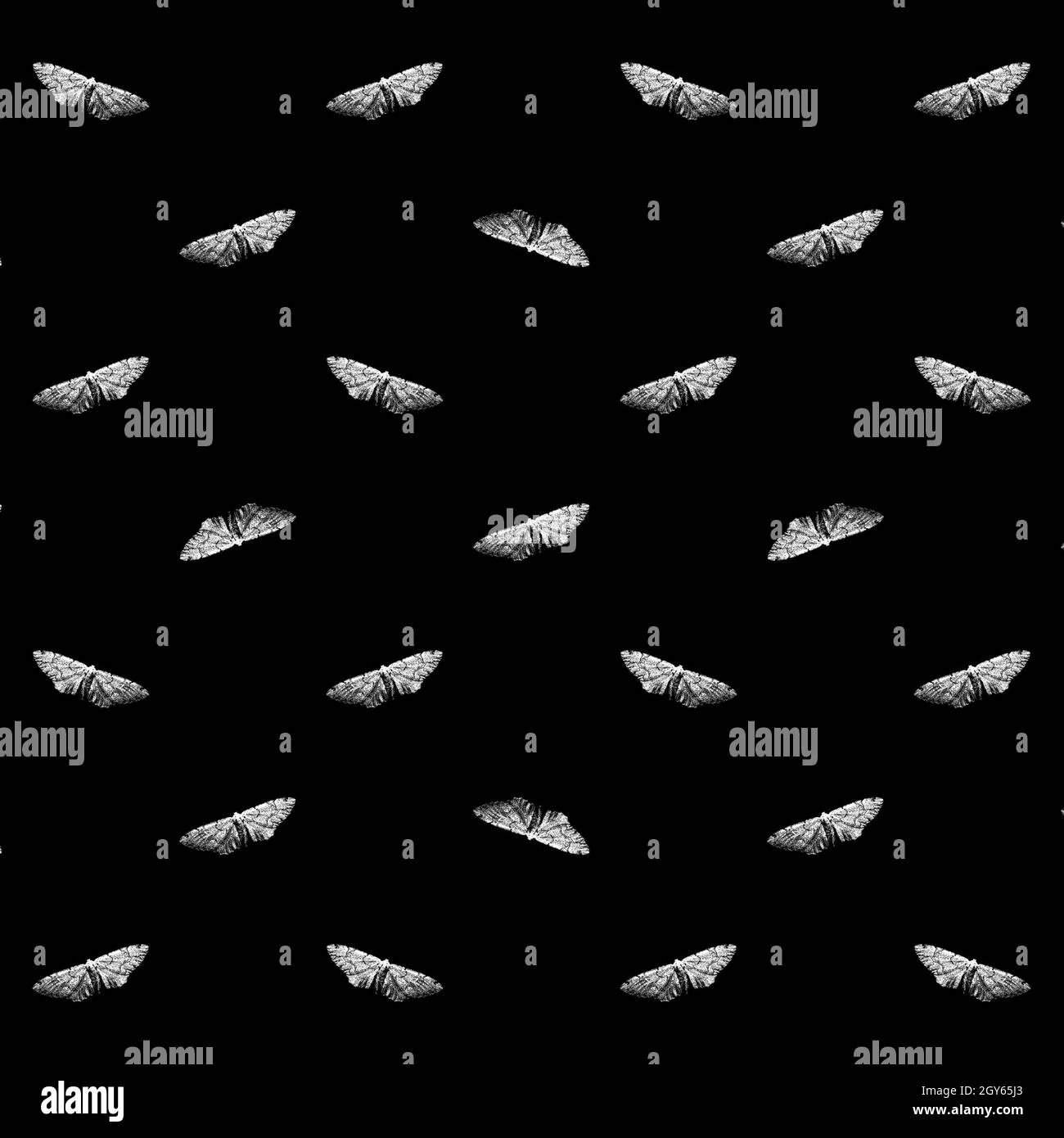 Graphic moth motif black and white seamless pattern Stock Photo