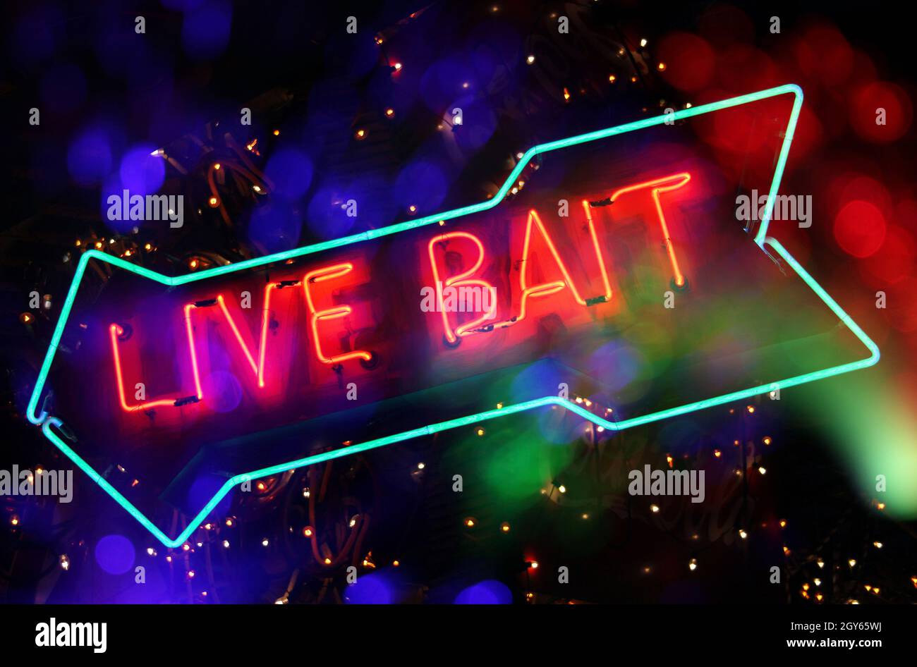 Neon Sign composite Image, Live Bait, Stock Photo