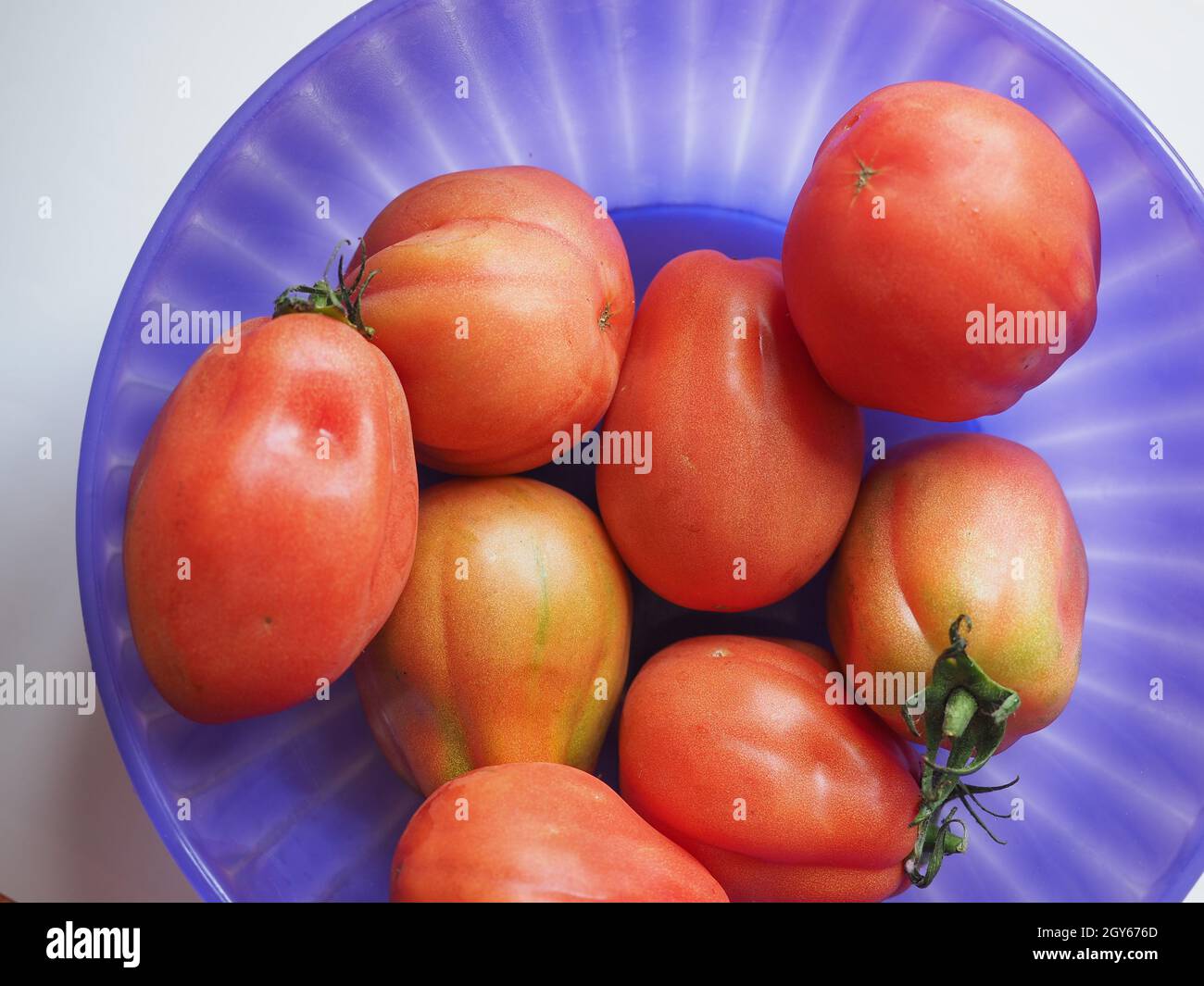 Scientific Name Of San Marzano Tomato