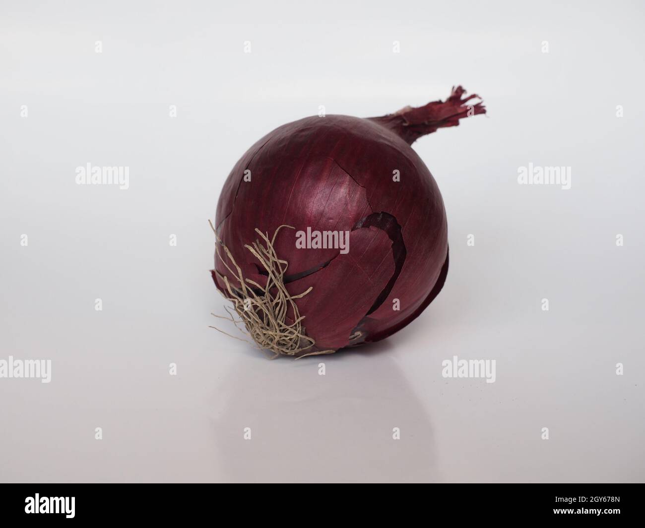 red onions (scientific name Allium cepa aka bulb onion or common onion