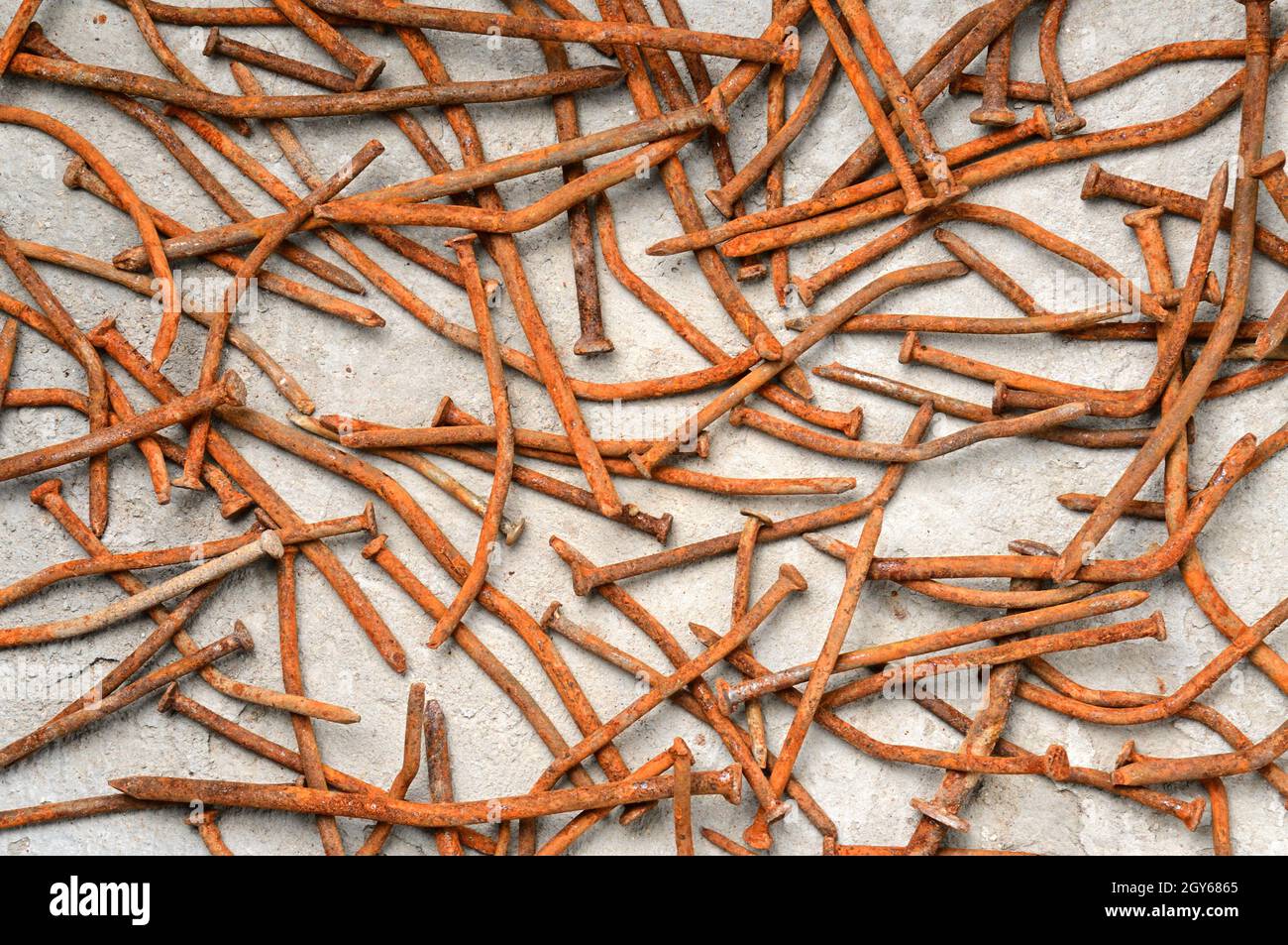 Rusty used nails on a cement metal background Stock Photo