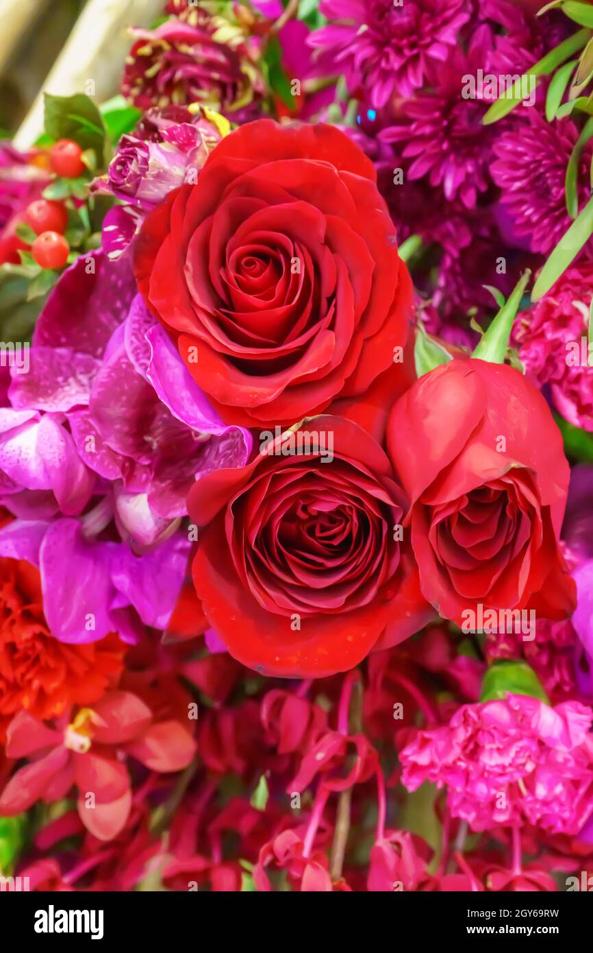 The rose is the flower represents love. Its on a flower background