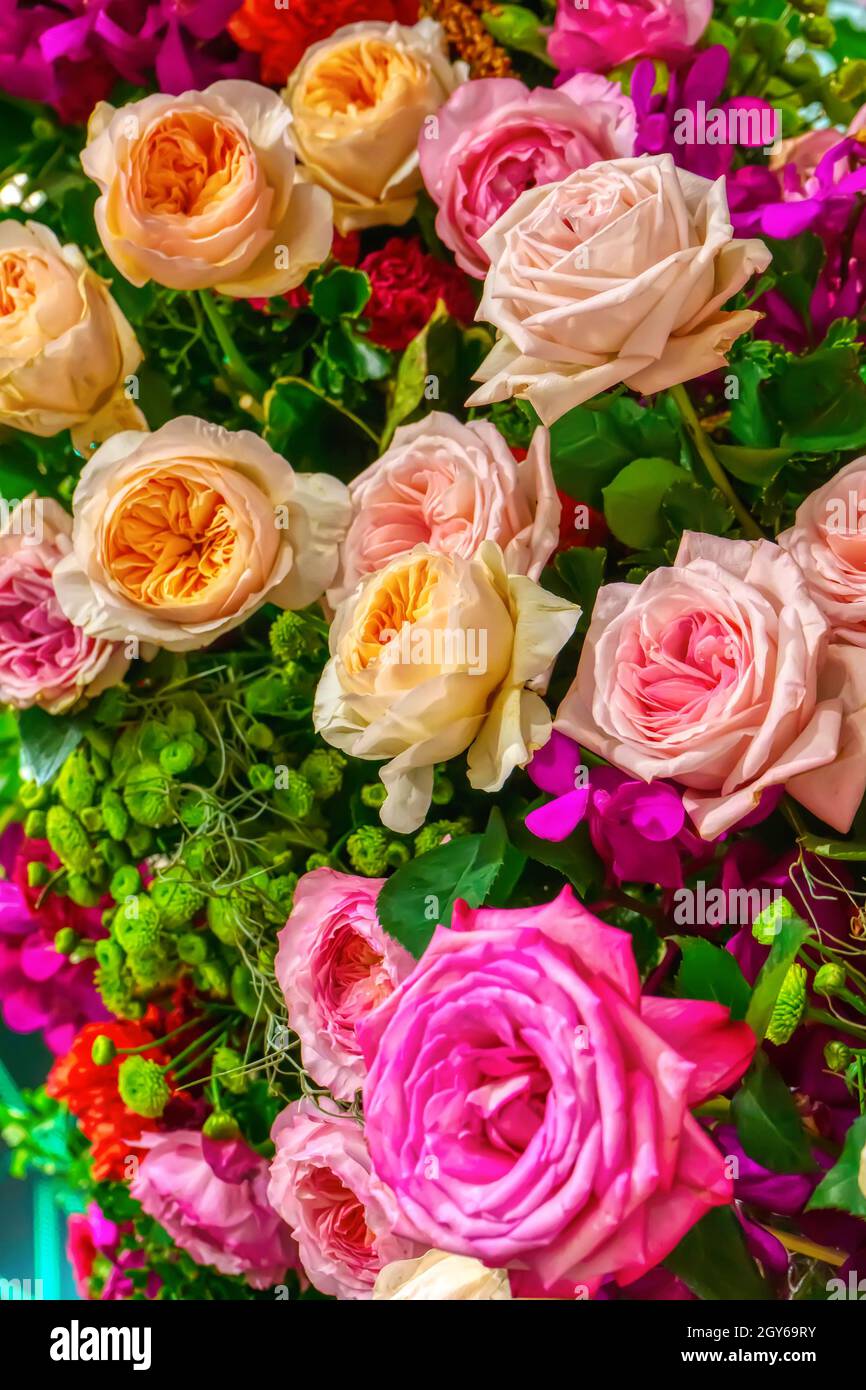 The rose is the flower represents love. Its on a flower background Stock Photo Alamy