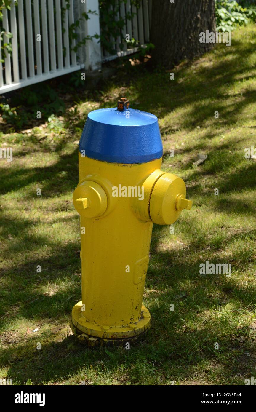 A yellow fire hydrant located at the curbside to give access to water with high pressure to fight fires as needed. Stock Photo