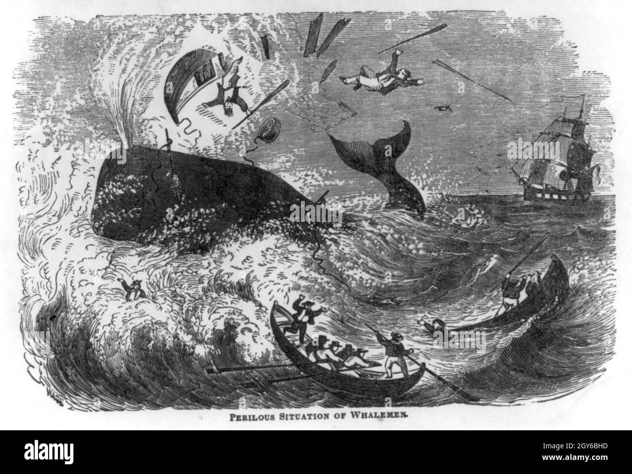 Vintage woodcut illustration circa 1861 entitled Perilous situation of whalemen showing a whaling boat being smashed by a harpooned sperm whale Stock Photo