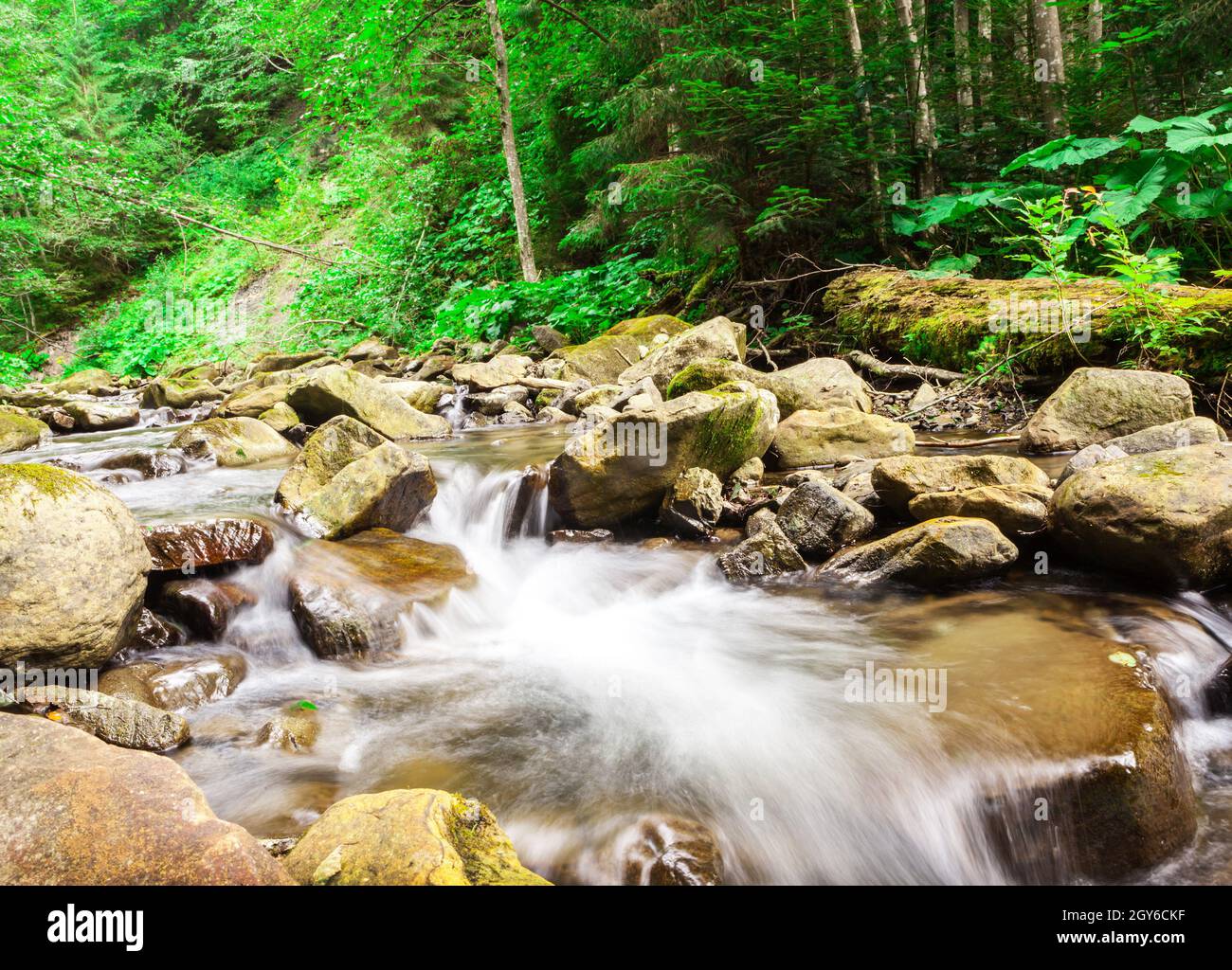 Picture of wood textured backgrounds in a room interior on the waterfallt ...