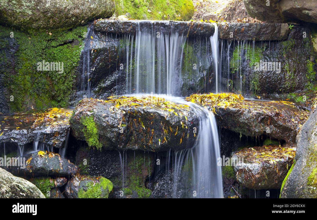 View of wood textured backgrounds in a room interior on the waterfallt ...