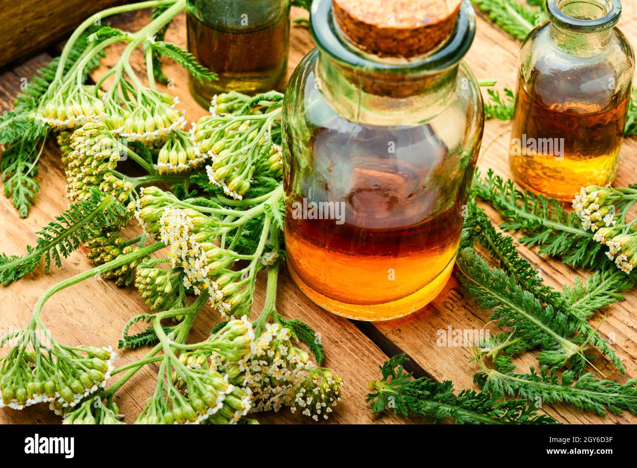 Jar of yarrow tincture.Medicine made from medicinal herbs.Herbalism and