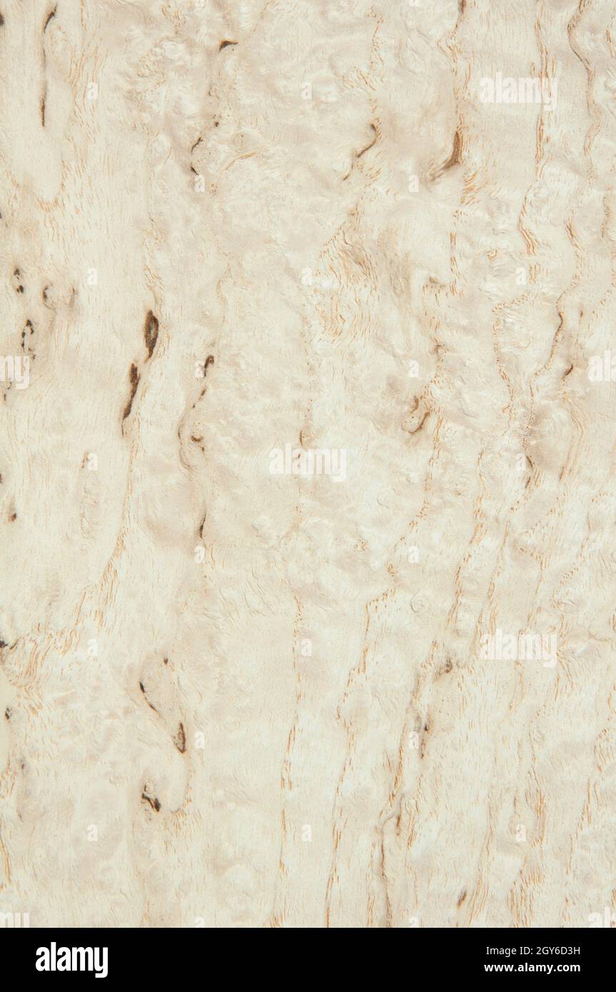 Image showcasing Beyond Flat Walls: Your Guide To Textured Paint Finishes