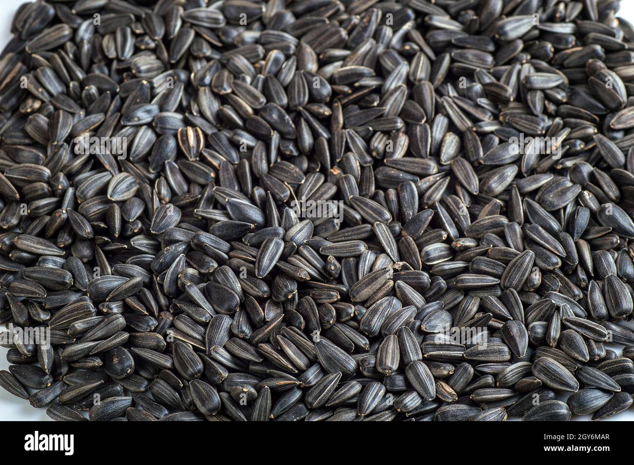 Black sunflower seeds. For texture or background Stock Photo - Alamy