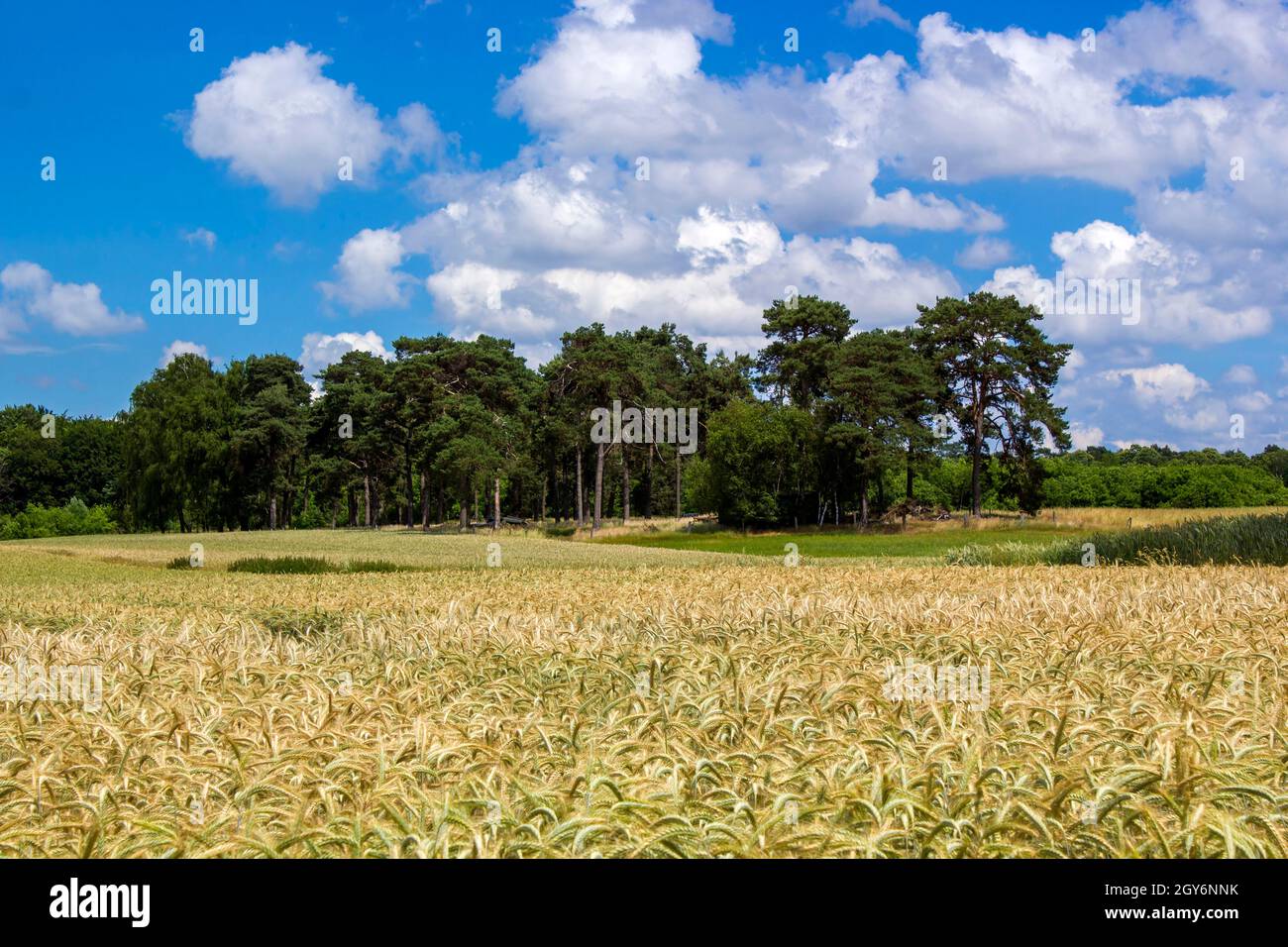 German countryside landscape, Lower Rhine Region, Germany Stock Photo