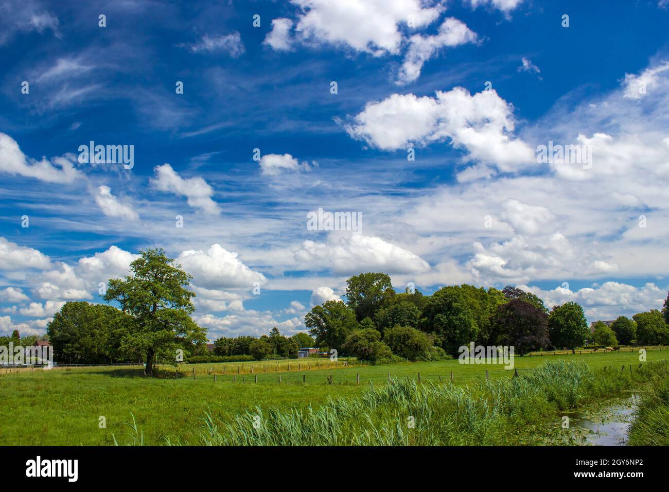 Lower German German countryside landscape, Lower Rhine Region, Germany Stock Photo ...