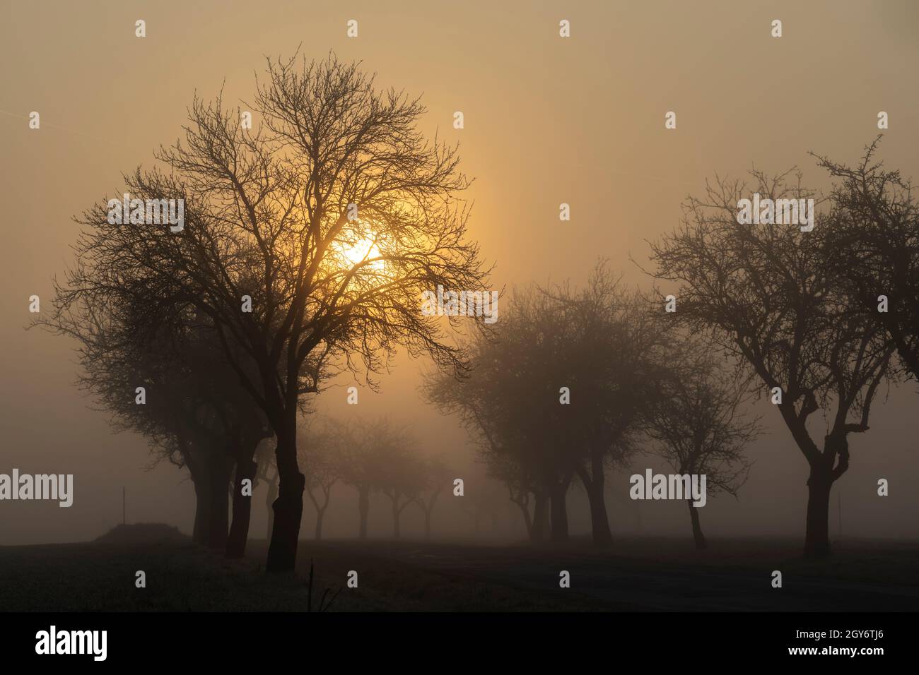sunrise near Znojmo, South Moravia, Czech Republic Stock Photo