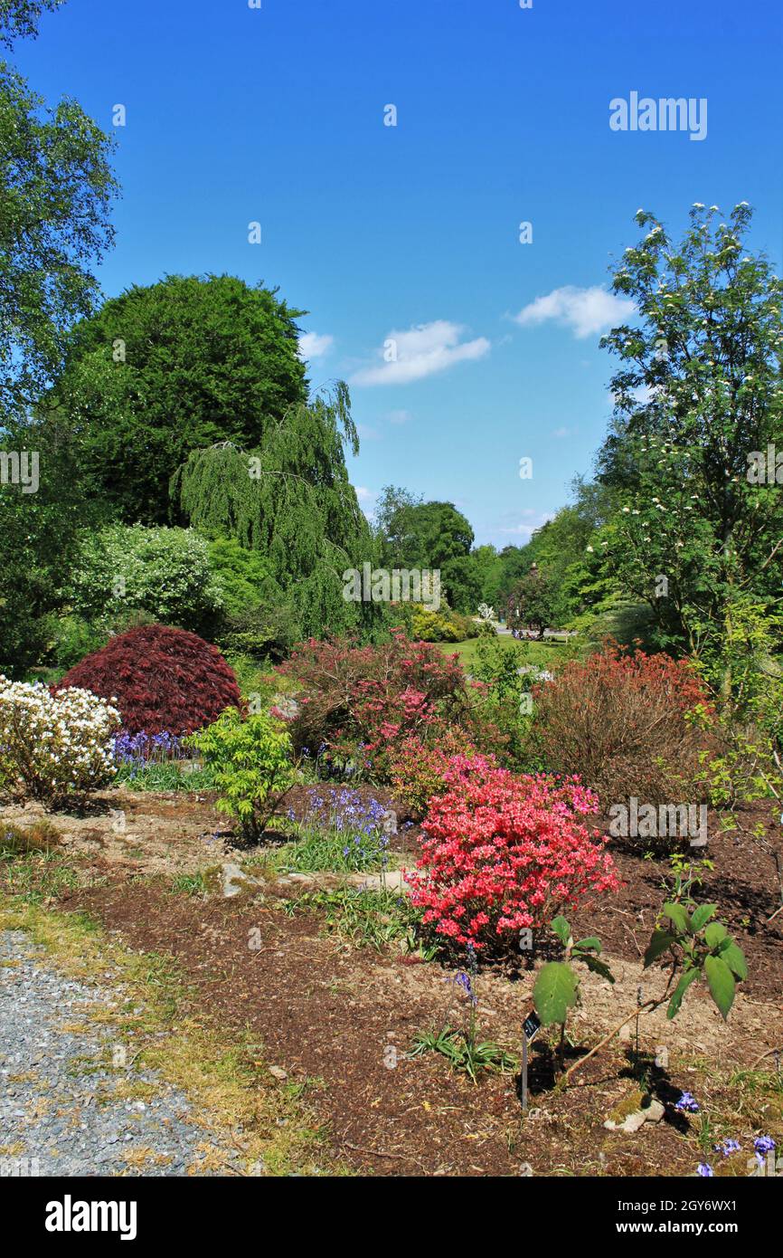 Hillside garden britain hi-res stock photography and images - Alamy