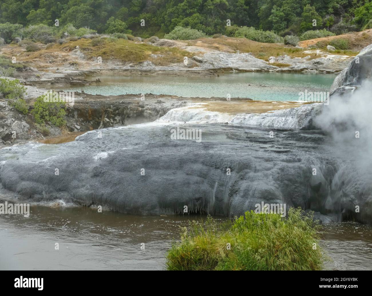 Scenery around the Geothermal Valley Te Puia in New Zealand Stock Photo