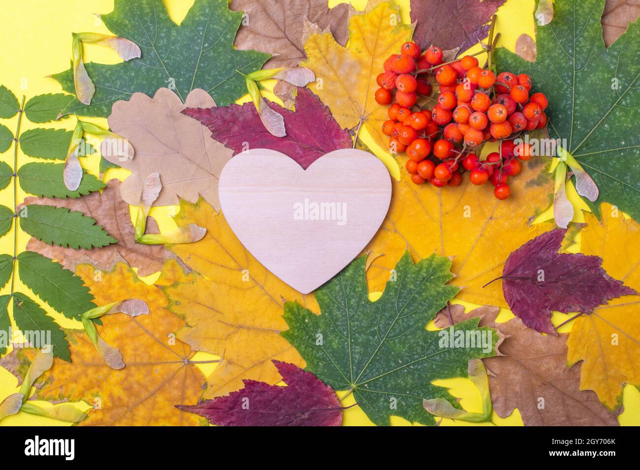 Wooden heart multicolored red, orange, green dry fallen autumn leaves and orange rowan berries on a yellow background. Autumn natural background. Autu Stock Photo