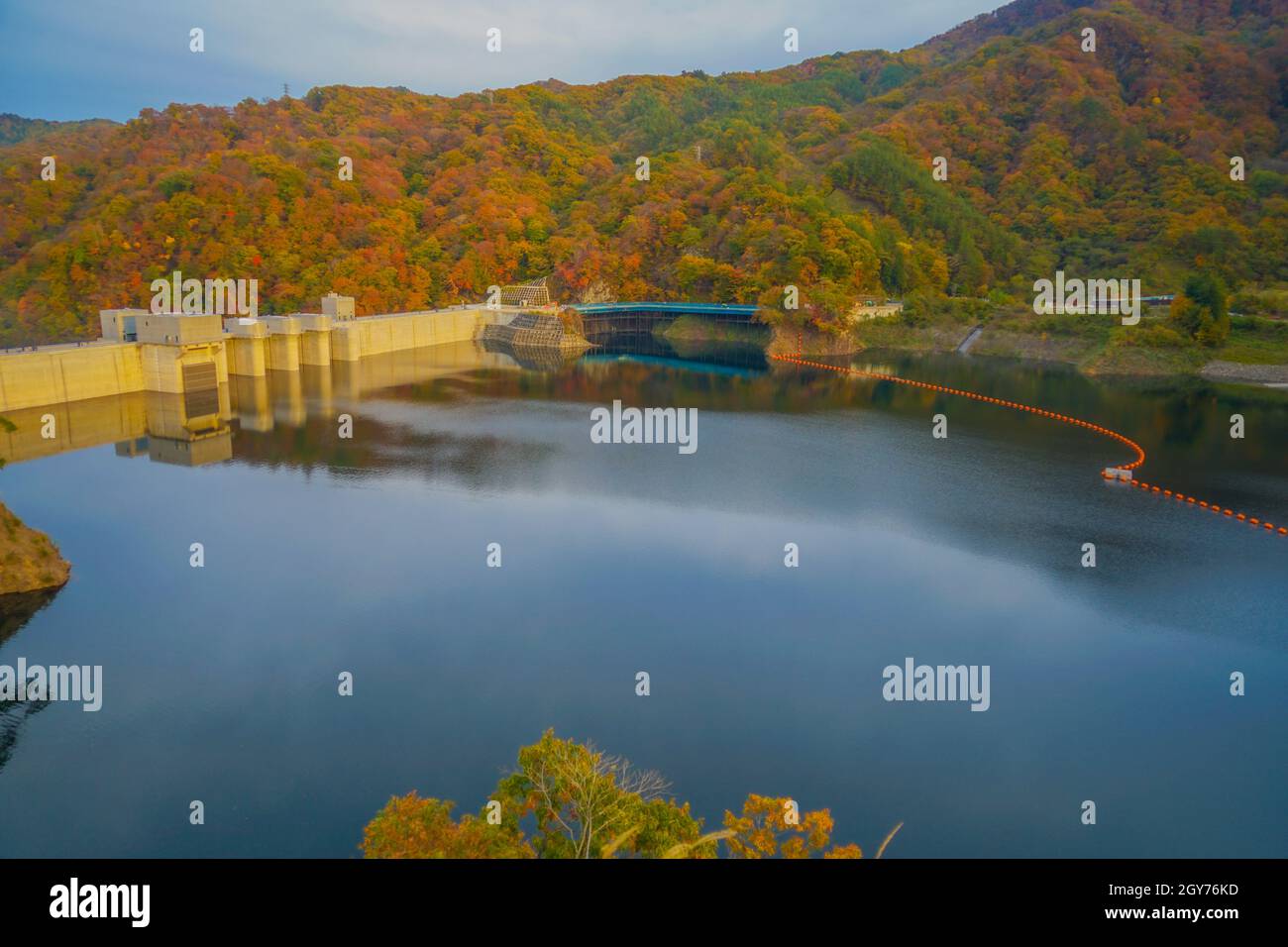 Autumn leaves and Yanba Dam (Gunma Prefecture). Shooting Location: Gunma Prefecture Stock Photo