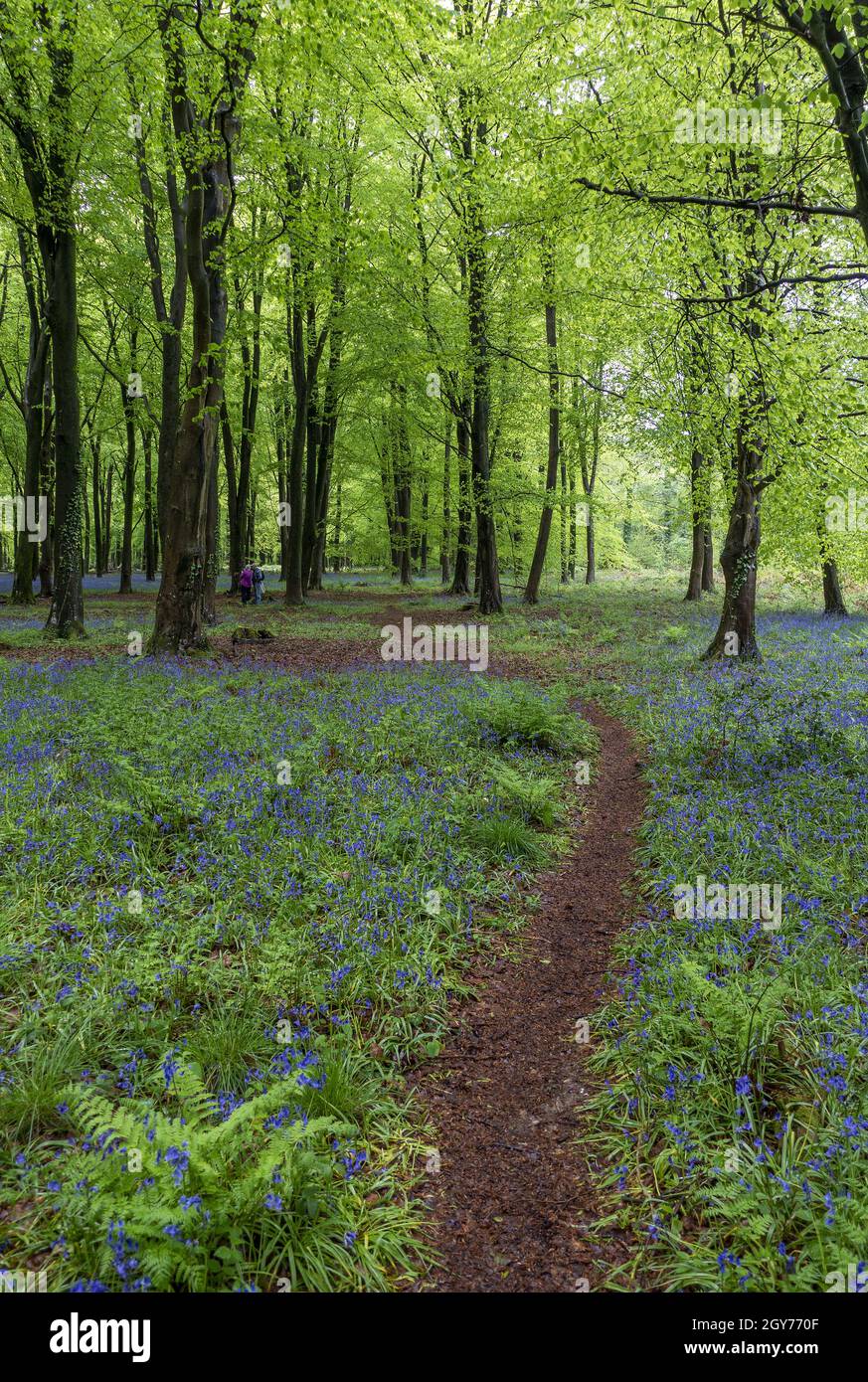 Test valley hi-res stock photography and images - Alamy