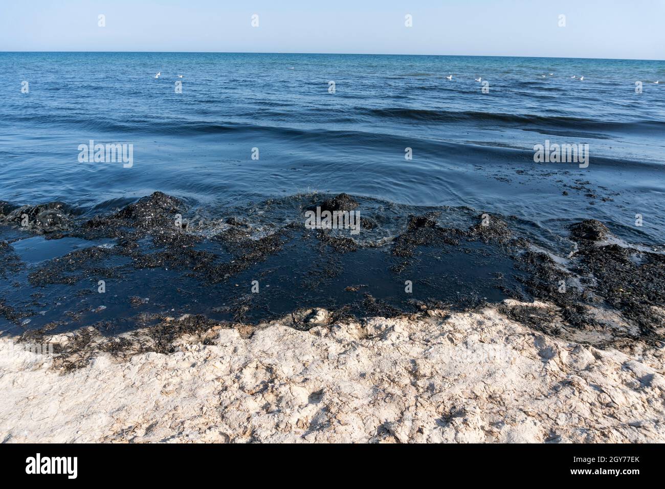 Oil pollution In the Sea at Coastline. Black Color Sea Waves on white Sand Stock Photo