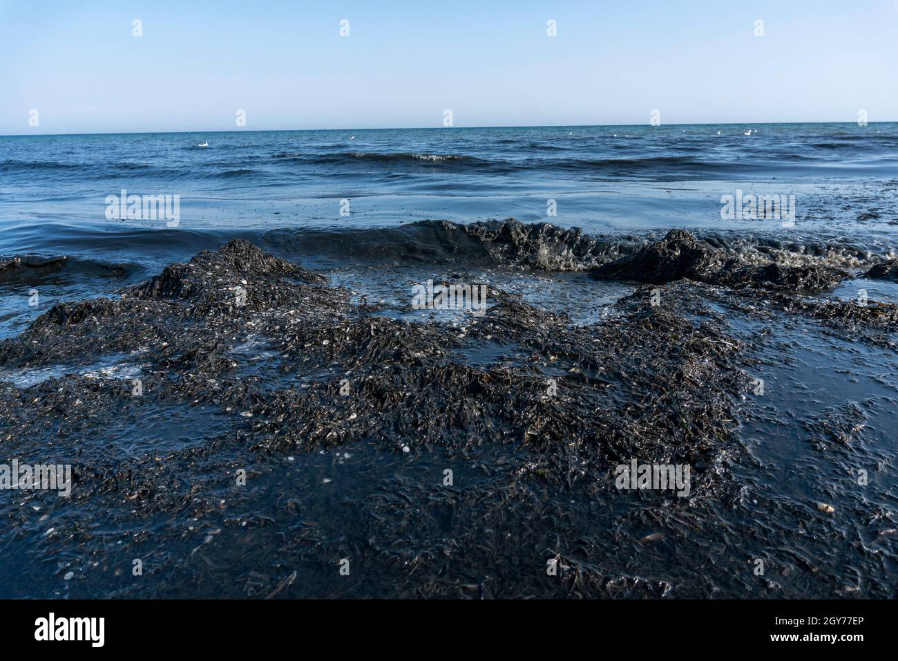 Oil pollution In the Sea at Coastline. Black Color Sea Waves on white Sand Stock Photo