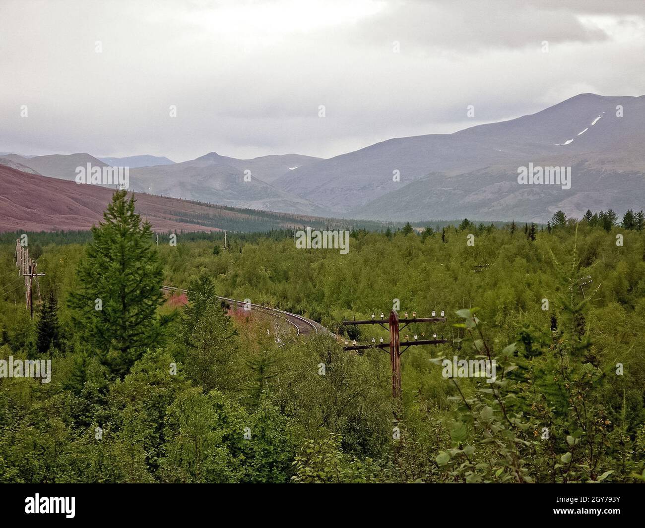 Forest tundra landscape in the summer. Taiga of Siberia. Yamal Stock ...