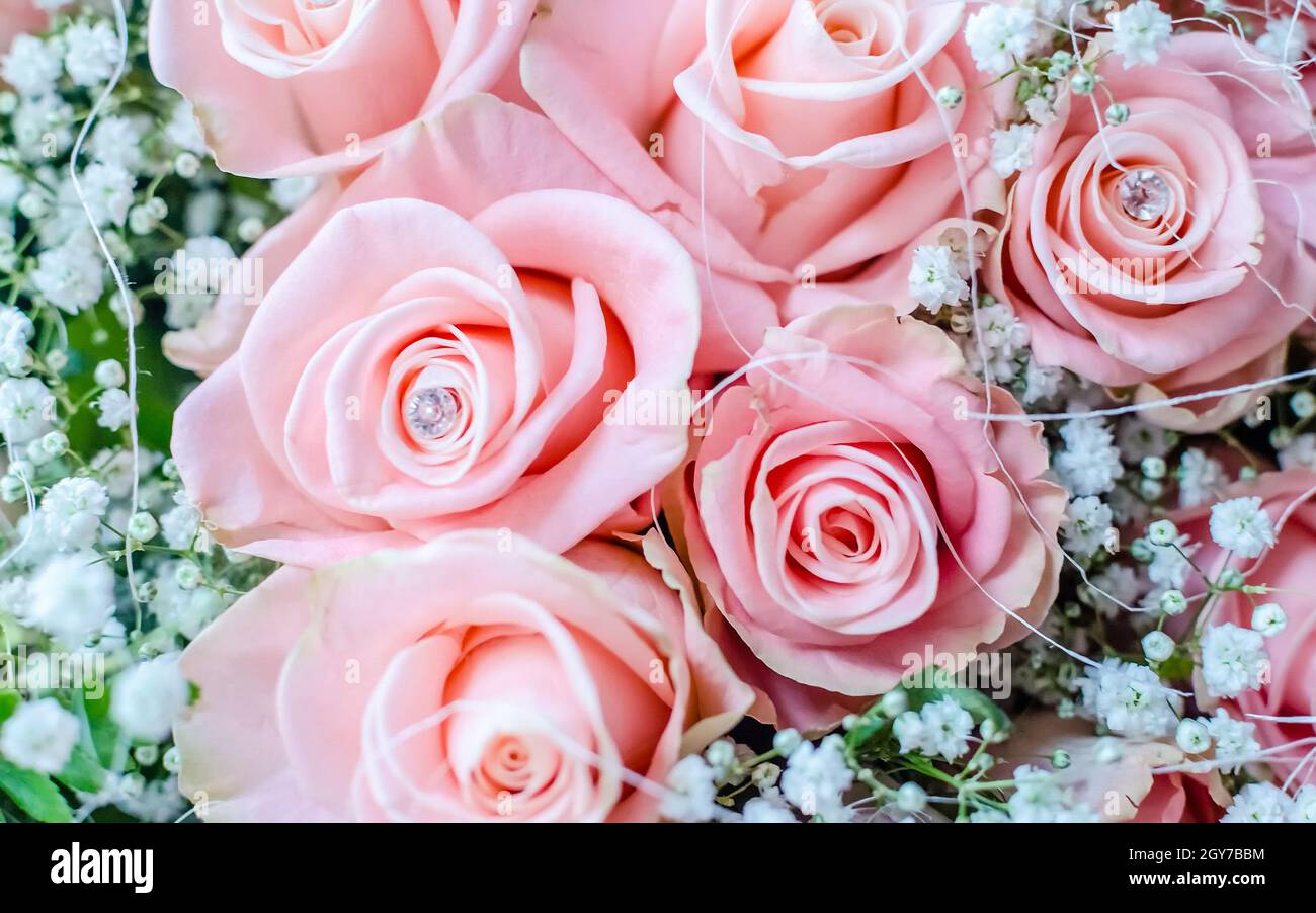 Bouquet of pink roses with small briliants. Romantic concept for Valentine's Day Stock Photo