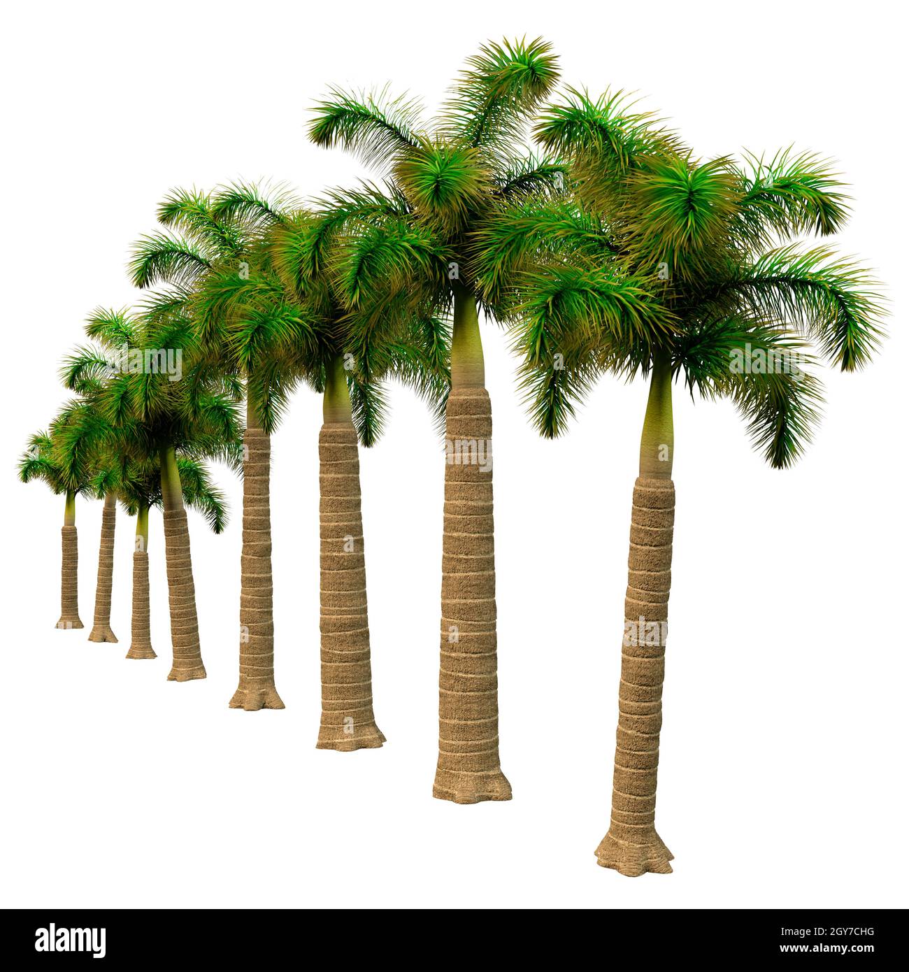 3ds Max Palm Trees