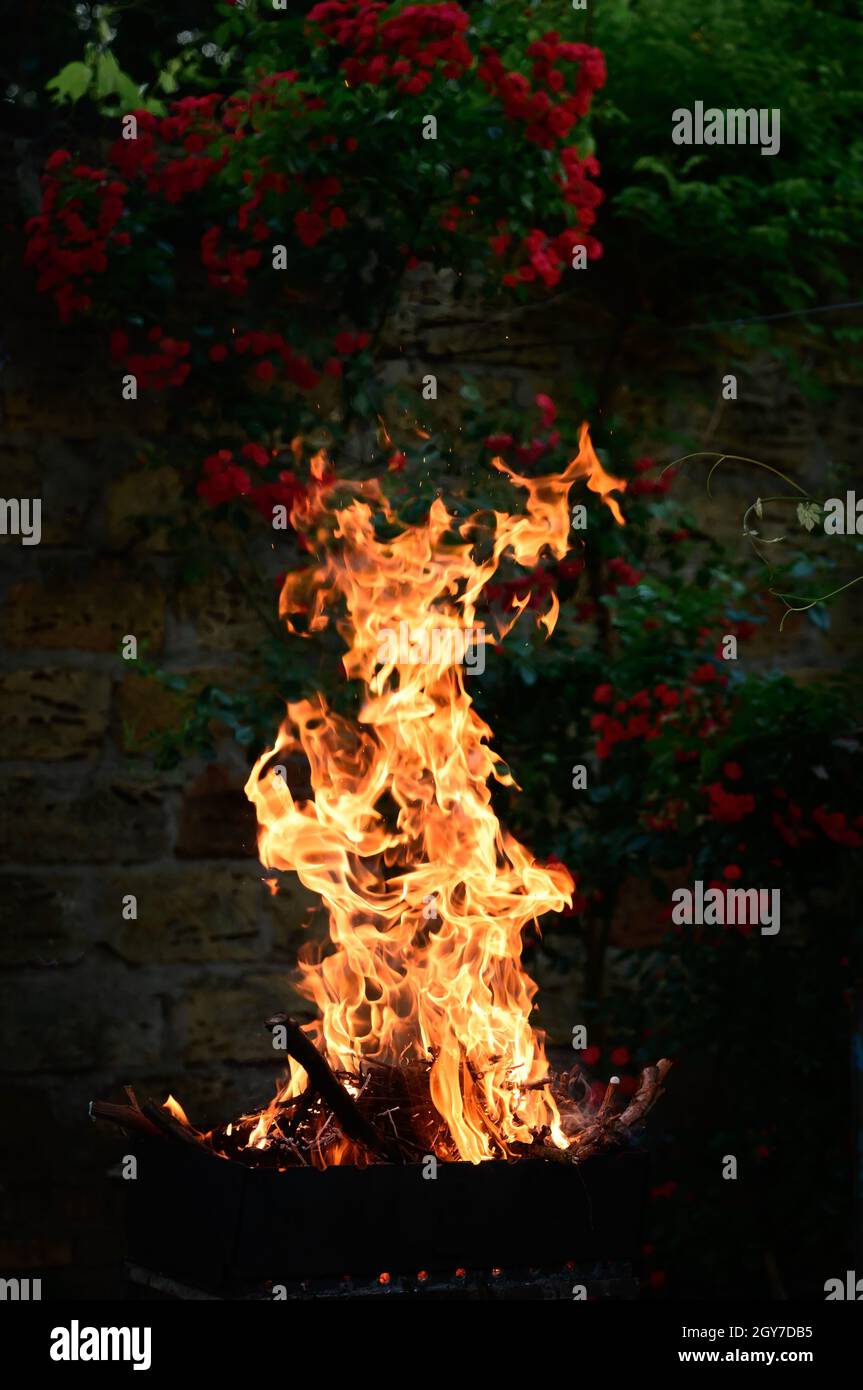 burning firewood in a metal barbecue and a high orange flame, evening