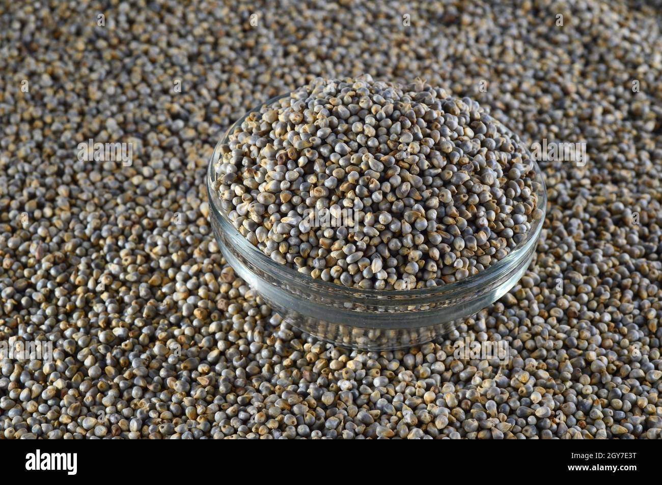 Bajra (Pearl millet) in glass bowl Stock Photo Alamy