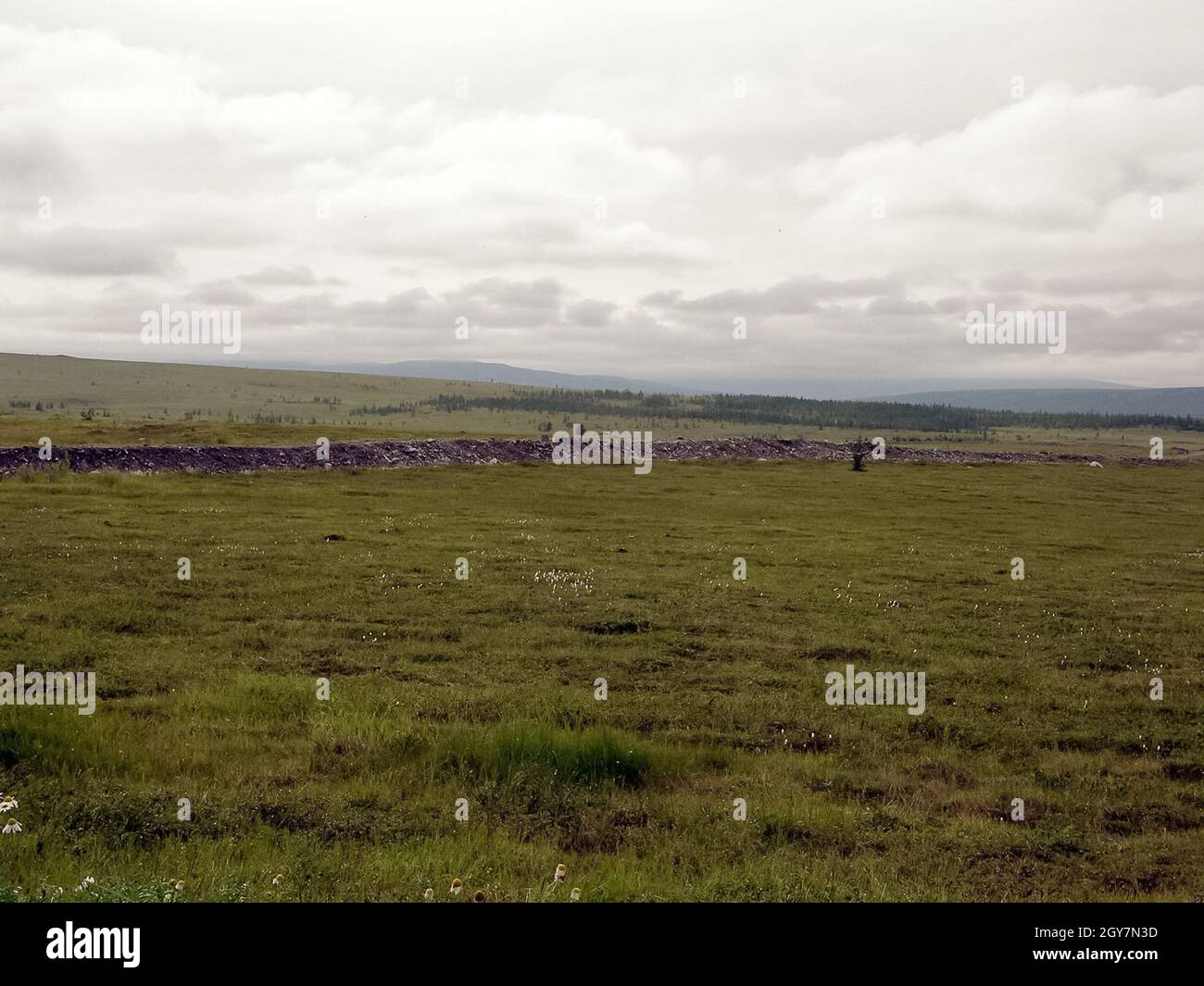 Landscape of the tundra in summer. Summer tundra on the Yamal Peninsula. Western Siberia Stock Photo