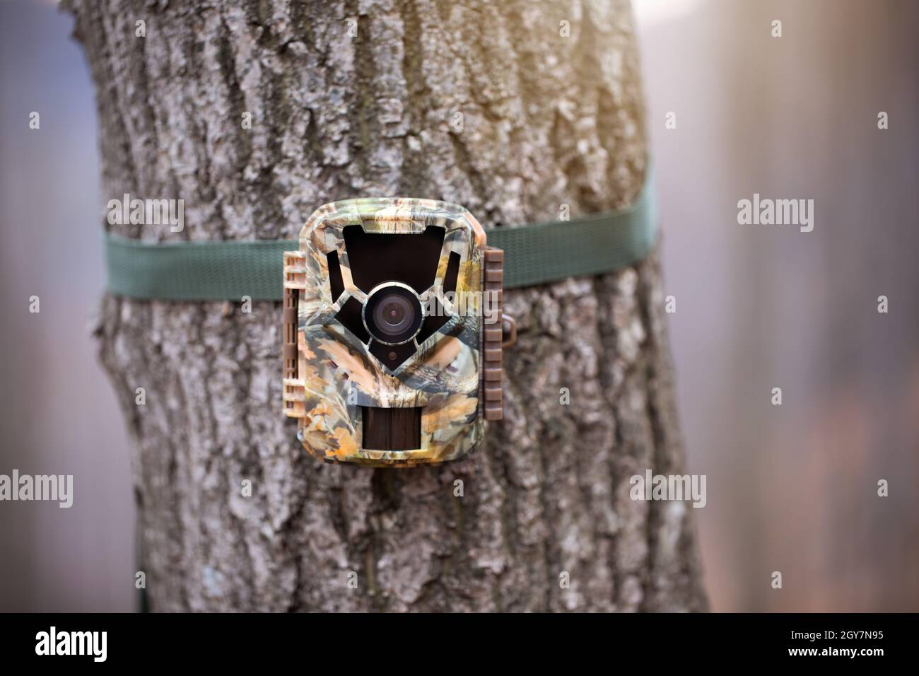 Trail camera for wildlife monitoring attached to a tree with green