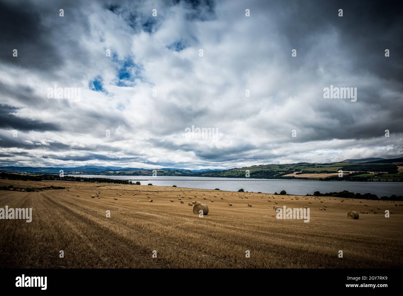 Hay bales dotted across the nearly harvested fields overlooking Cromarty Bridge in Scottish Highlands Stock Photo