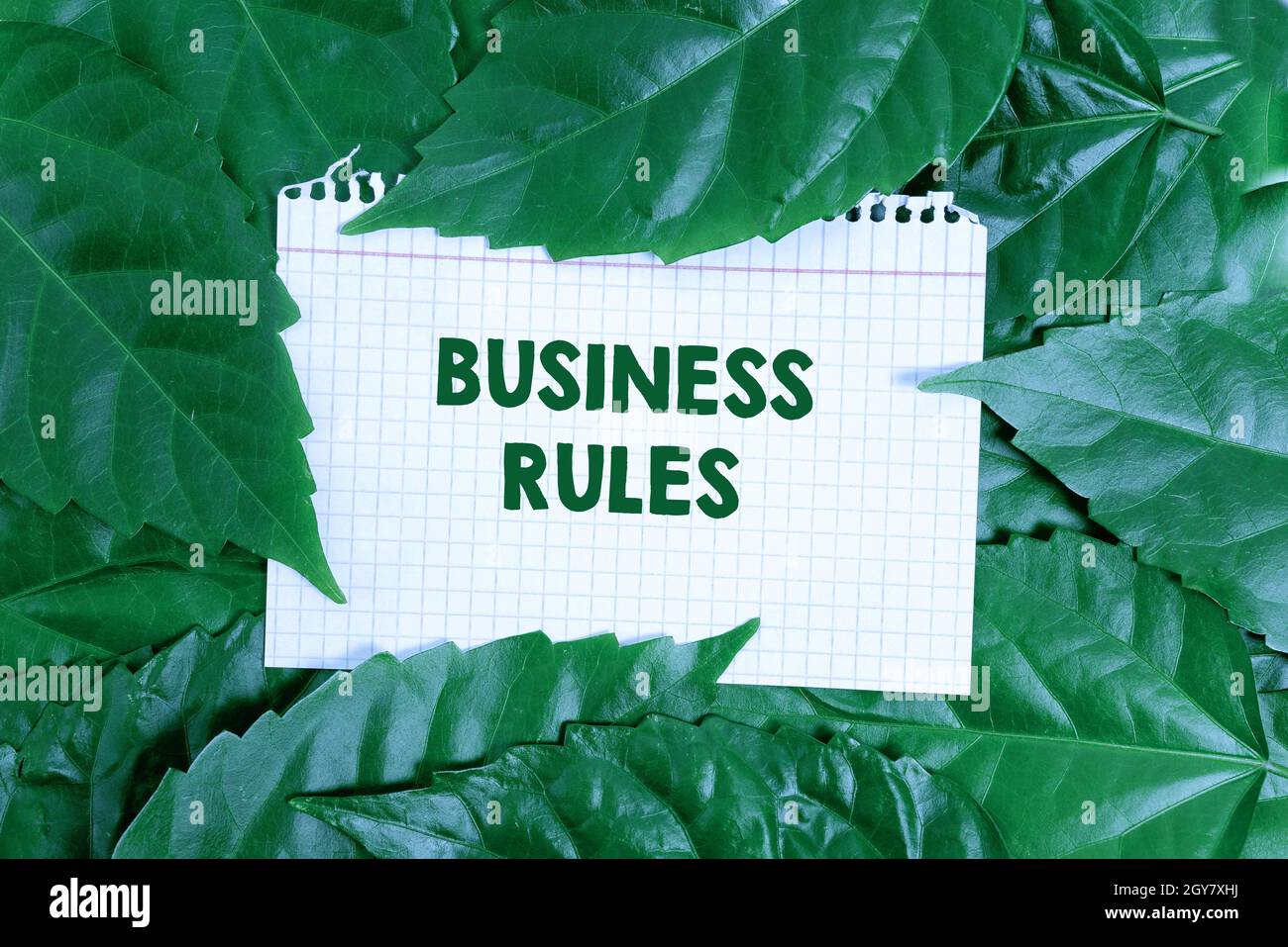 Text caption presenting Business Rules, Business concept the principles ...