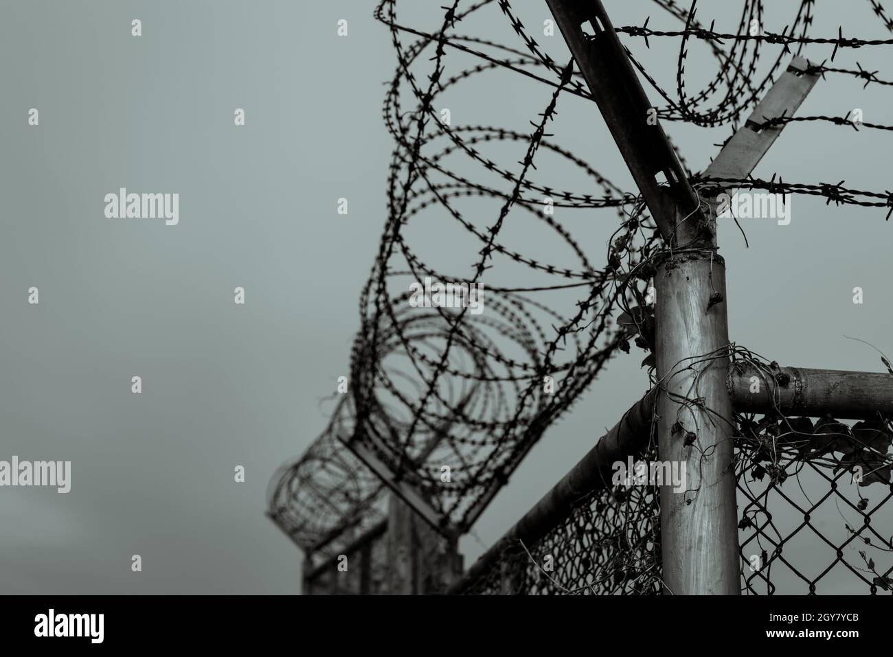 Prison security fence. Barbed wire security fence. Razor wire jail fence. Barrier border. Boundary security wall. Prison for arrest criminals or terro Stock Photo