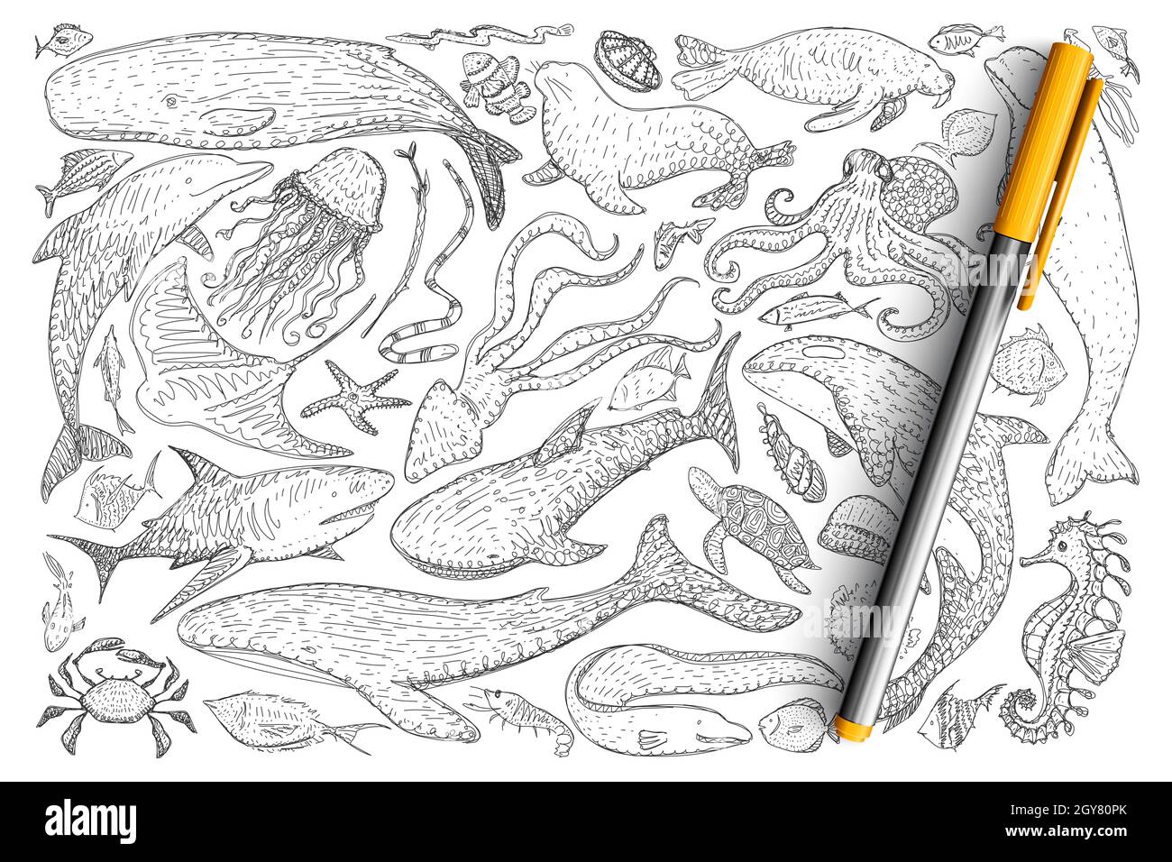 Underwater world animals doodle set. Collection of hand drawn dolphins,  crabs, octopus, fur seal, fishes, jellyfish, starfish sea horse isolated on  tr Stock Photo - Alamy