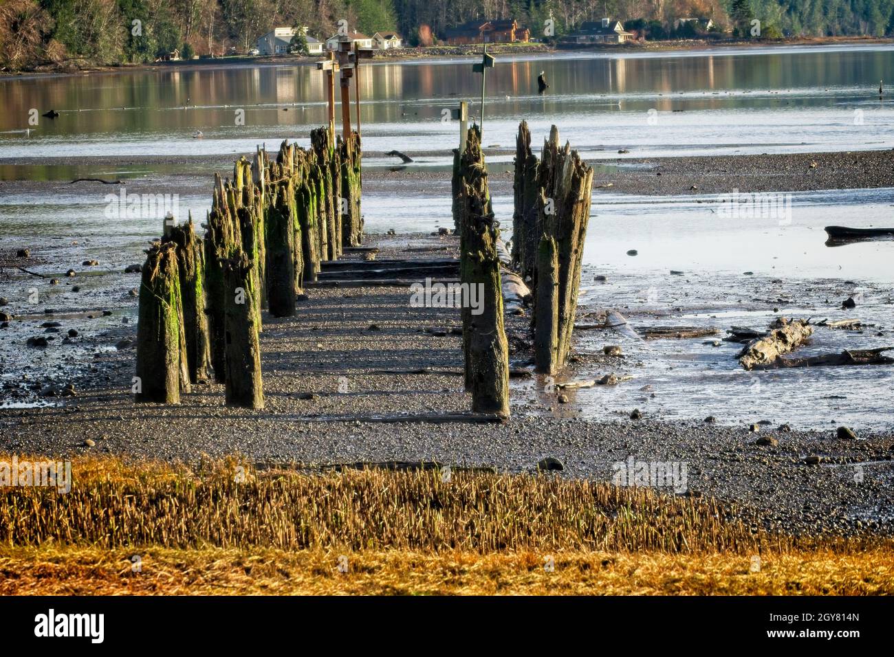 Dilapidated Dock - A dilapidated dock at the north end of Quilcene Bay Stock Photo