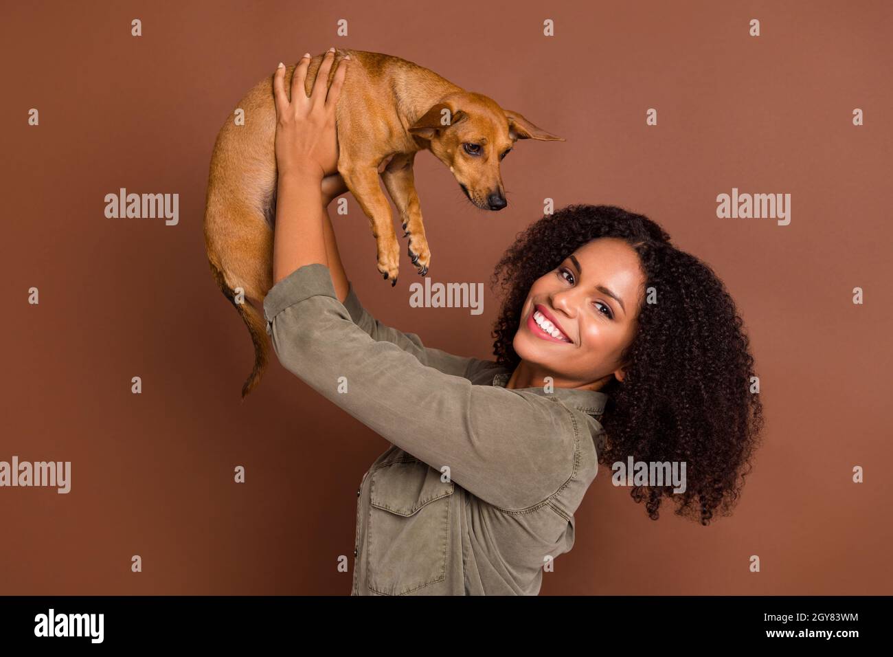 Photo of funny young brunette lady hold dog wear shirt isolated on brown color background Stock Photo